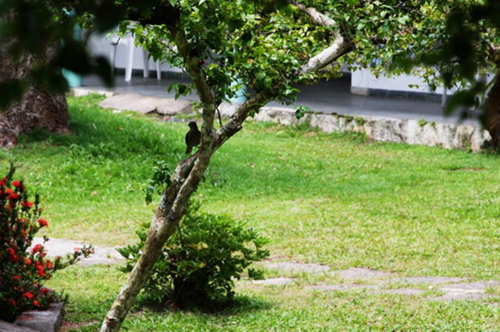 Pousada Sitio Paraiso Itacaré Eksteriør billede